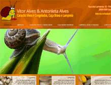 Tablet Screenshot of caracoisvitoralves.com